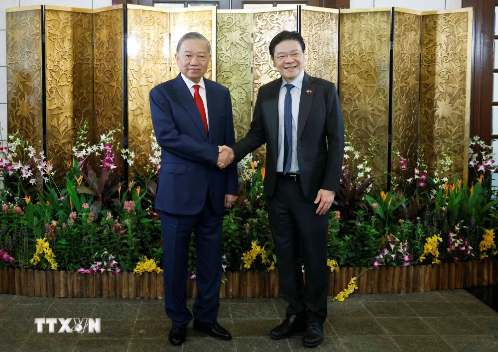 d01b7d1fa31400bedc3c9e-_ttxvn-tong-bi-thu-chu-tich-nuoc-to-lam-hoi-dam-voi-thu-tuong-singapore-29-1.jpg.avif.jpg