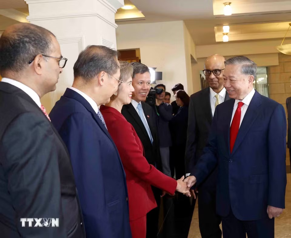 e6c85ef12-_ttxvn-le-don-tong-bi-thu-chu-tich-nuoc-to-lam-va-phu-nhan-tham-cap-nha-nuoc-toi-singapore-2905-4.jpg.avif.jpg