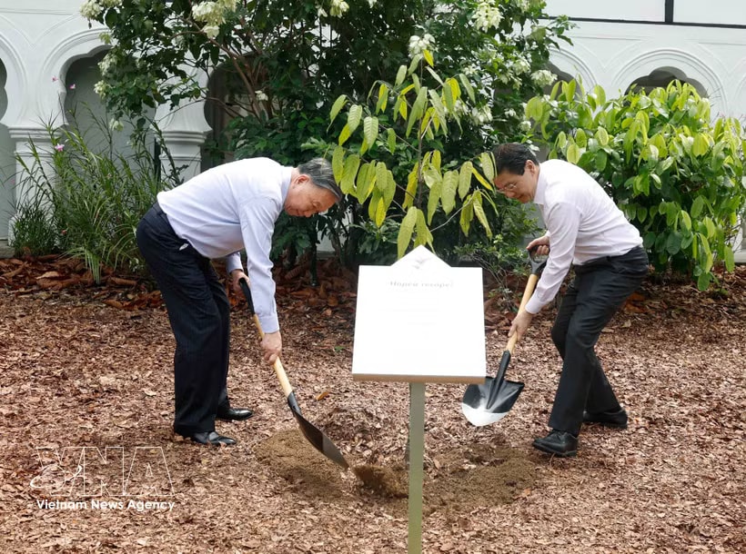 General Secretary of the Communist Party of Vietnam Central Committee and State President To Lam joins Singaporean Prime Minister Lawrence Wong in the tree-planting ceremony on May 30. (Photo: VNA)