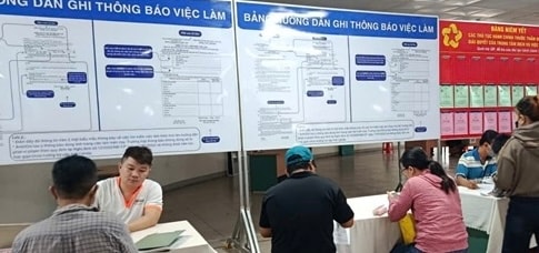 Tham gia tuyển dụng tại sàn là nhiều doanh nghiệp hoạt động trong các lĩnh vực bảo hiểm, may mặc, sản xuất linh kiện điện tử, cơ khí, thương mại và dịch vụ.
