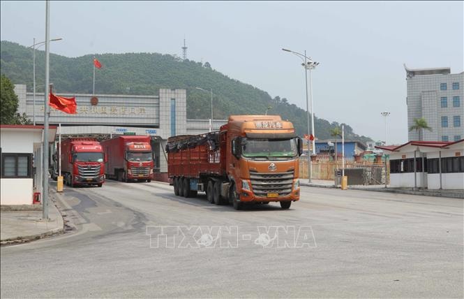 vstatic.vietnam.vn-vietnam-resource-image-2026-06-03-_1780465049852_cua-khau-030626-1.jpeg