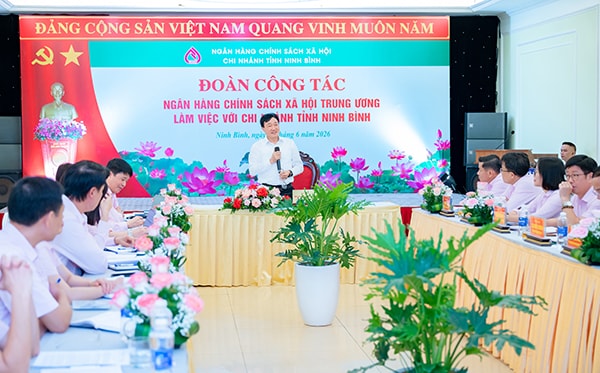 2anh 2.6