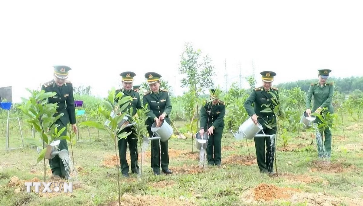 media.vietnamplus.vn-images-345e557ca1cfaa3aa16664b879e7c4c15513ffd28522ed79d13aa7b7060c4616f26d3bfe7719d39c36b11e3c03a4c839-_ttxvn-trong-cay-1.jpg.avif