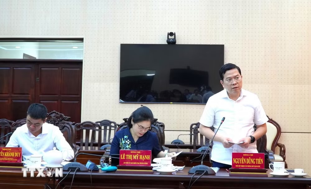 Phó Chủ nhiệm Văn phòng Chủ tịch nước Nguyễn Dũng Tiến, Phó Trưởng Đoàn kiểm tra, giám sát số 29 của Bộ Chính trị, Ban Bí thư, phát biểu. (Ảnh: Văn Sĩ/TTXVN) ttxvn-tinh-uy-an-giang2.jpg
