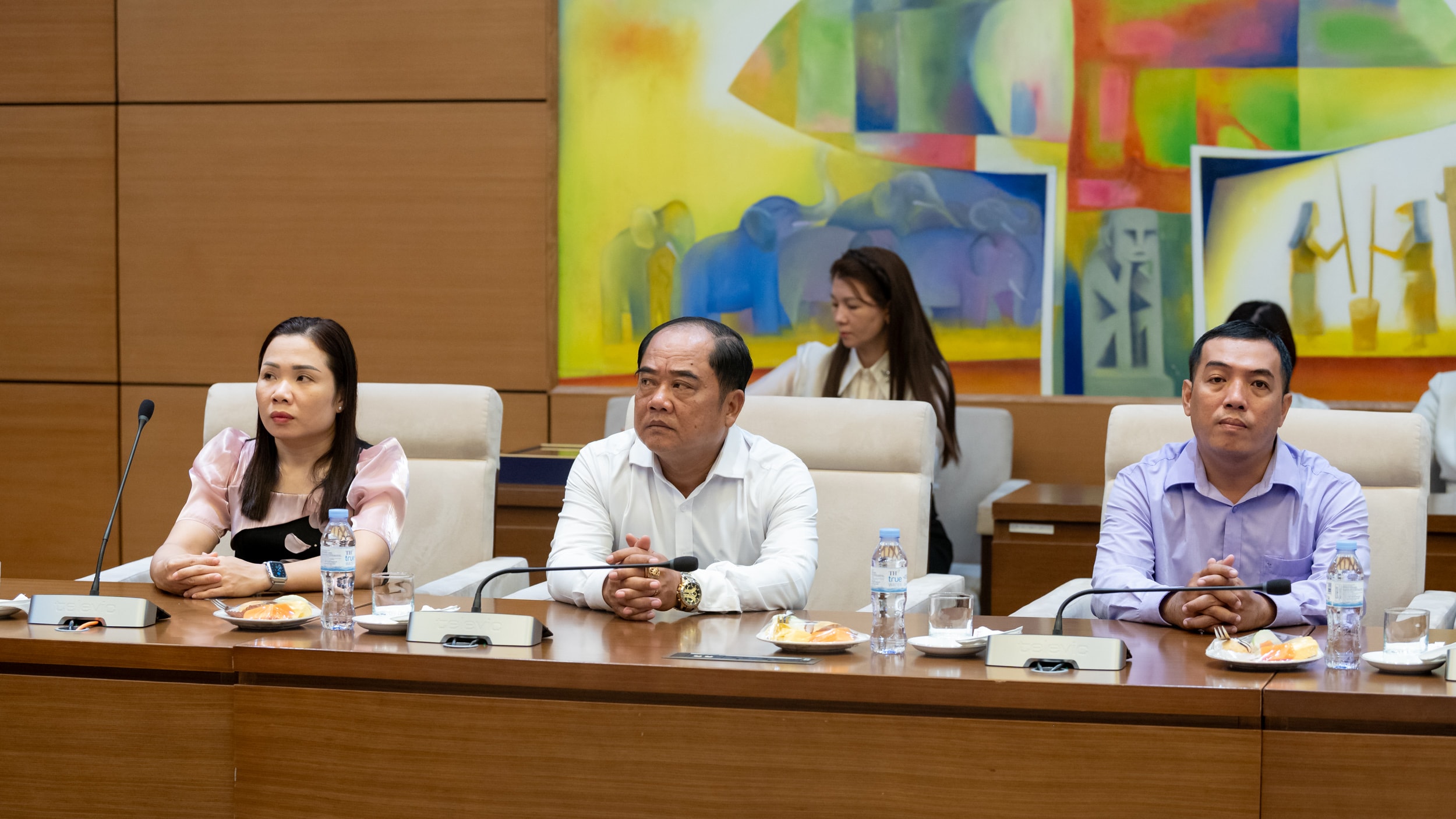 Đại biểu tham dự cuộc tiếp