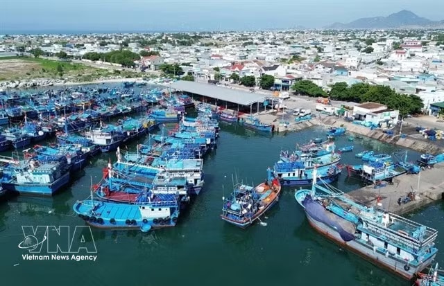 Fishing boats in Vietnam's Ninh Thuan province. (Illustrative photo: VNA)