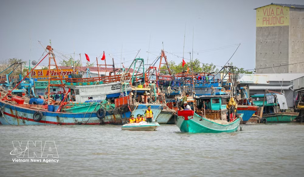 Ca Mau has implemented a range of measures to support nationwide efforts to secure the removal of the 