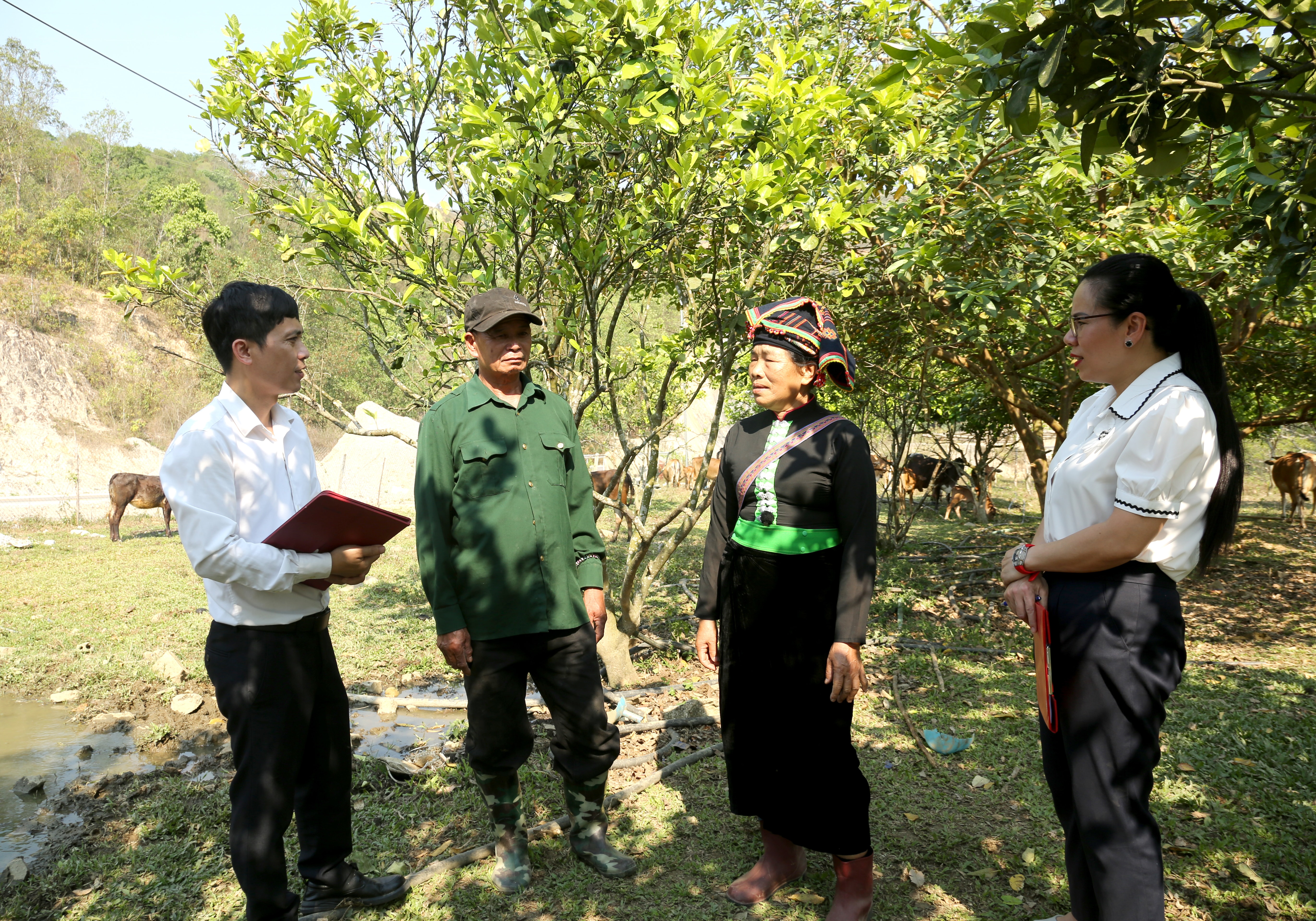 Dien biên 1+
