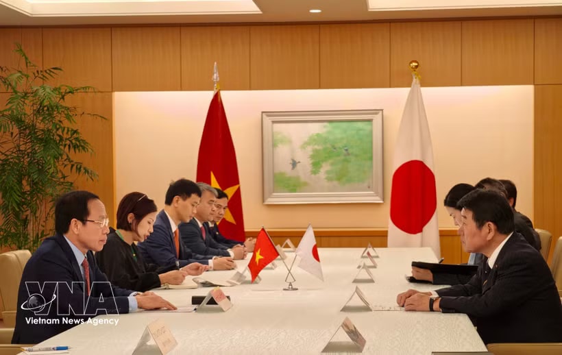 Deputy Prime Minister Le Tien Chau meets with Japanese Foreign Minister Motegi Toshimitsu on June 10. (Photo: VNA)