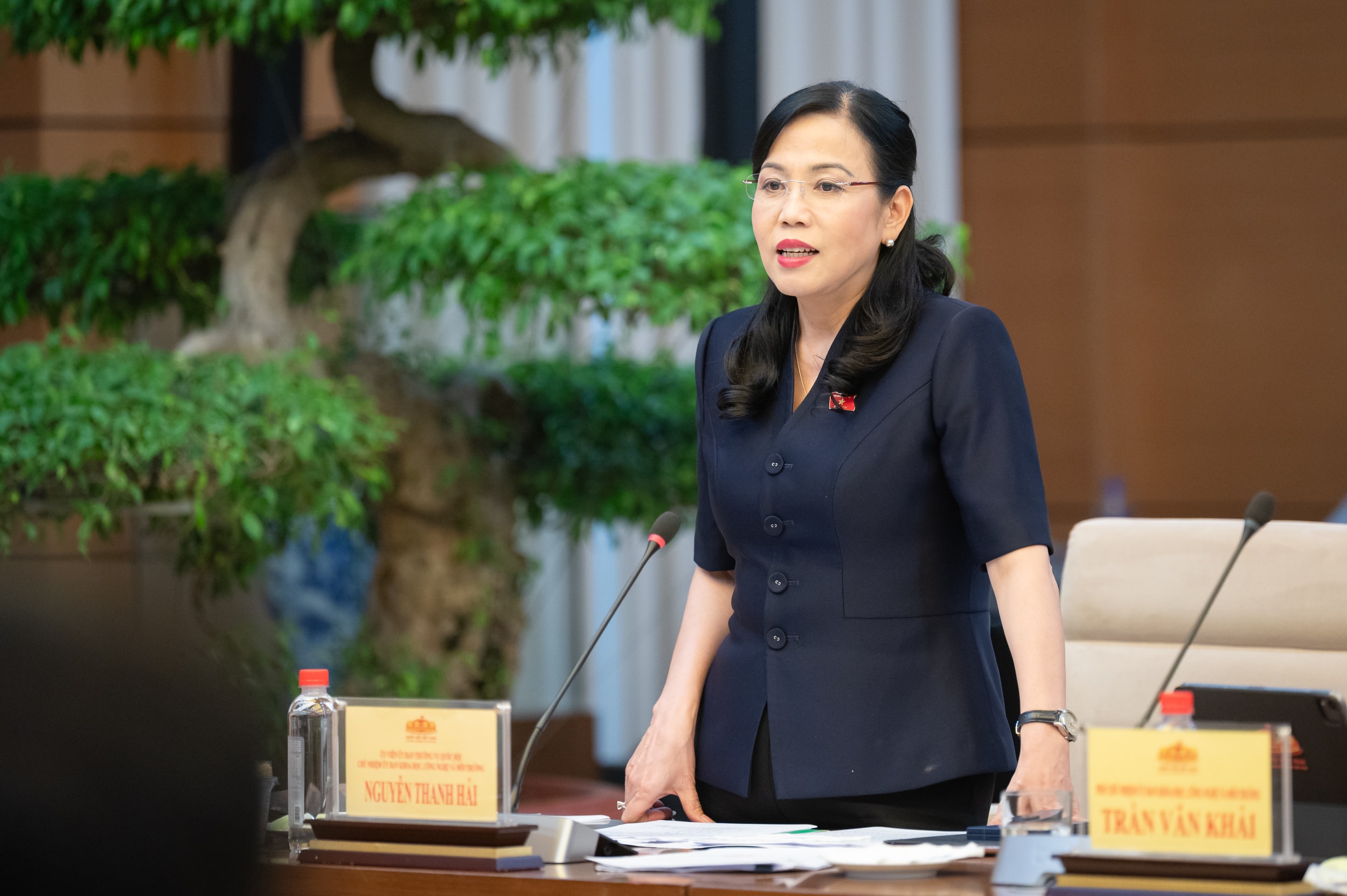 Chủ nhiệm Ủy ban Khoa học, Công nghệ và Môi trường Nguyễn Thanh Hải phát biểu