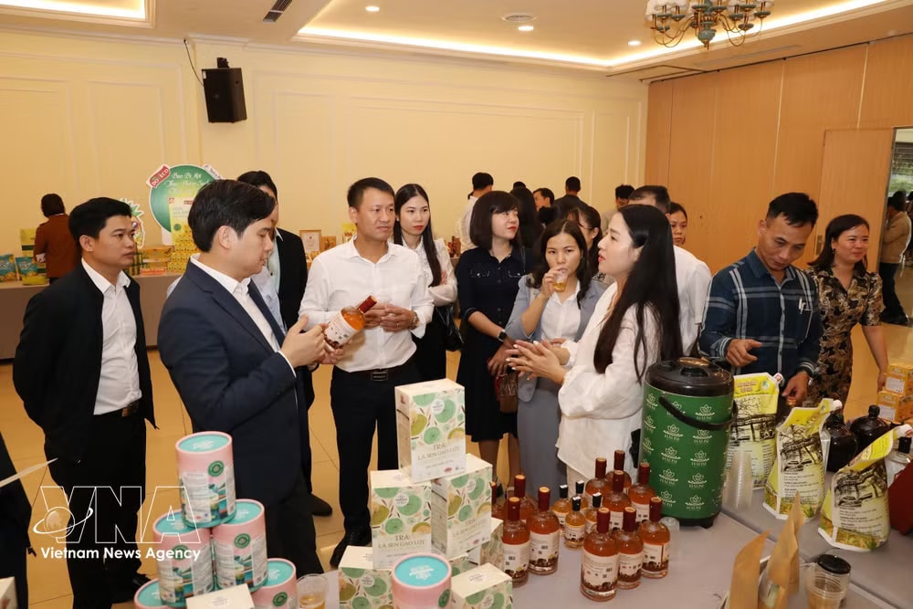 On November 14, 2025, the Department of Foreign Affairs and Cultural Diplomacy under the Ministry of Foreign Affairs, in coordination with the People's Committee of Ninh Binh province, organise a training course on updating knowledge and skills in foreign affairs for local officials in charge of foreign affairs in the Red River Delta region and some provinces and cities nationwide. (Photo: VNA) vnanet-potal-nang-cao-kien-thuc-va-nghiep-vu-doi-ngoai-tai-dia-phuong-8407540.jpg