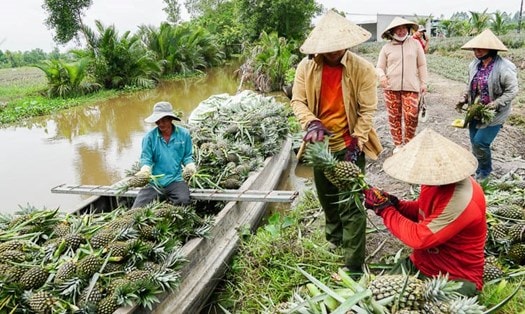 khom-2.jpg