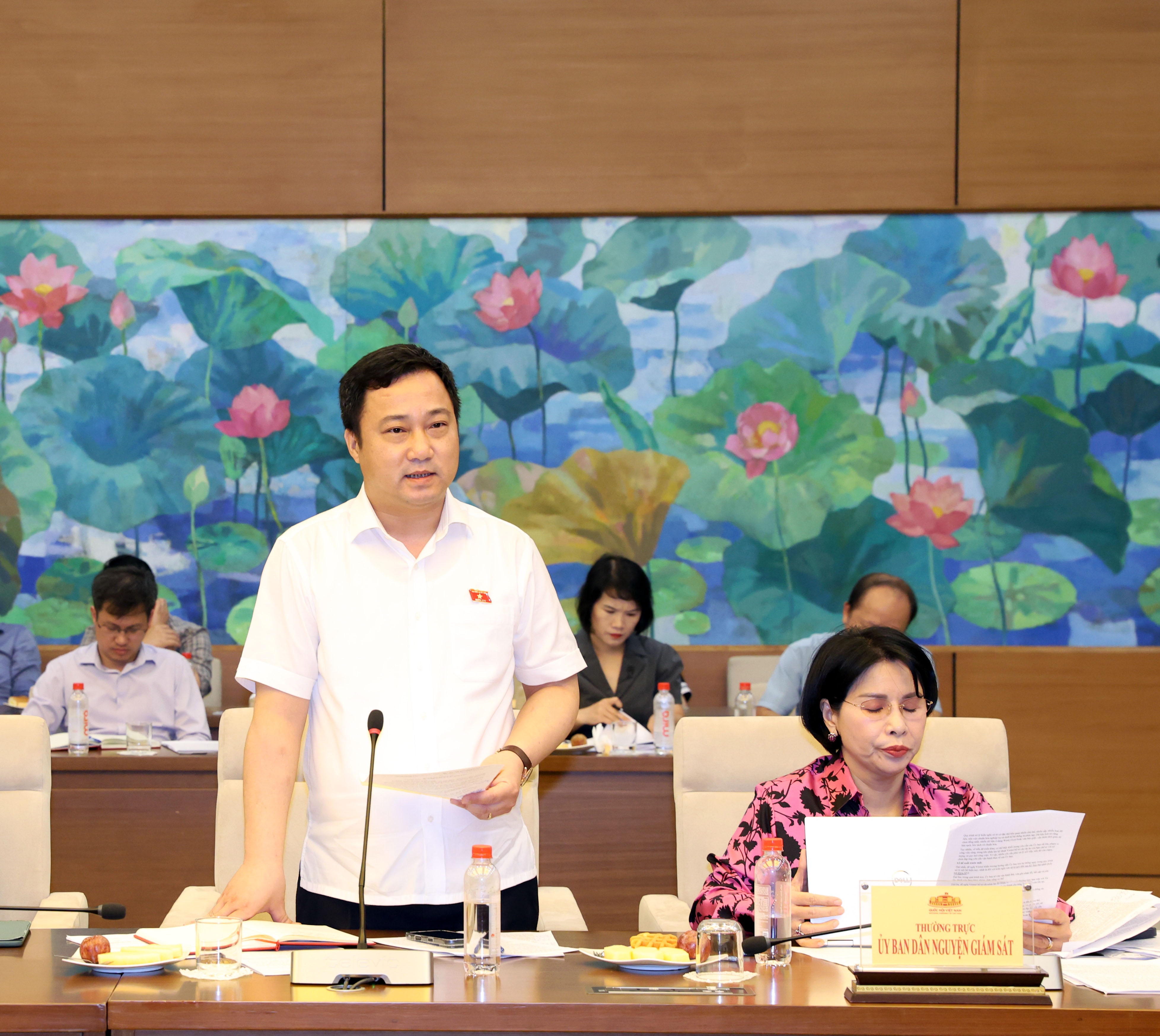 Phó Chủ nhiệm Ủy ban Dân nguyện và Giám sát Cao Mạnh Linh phát biểu