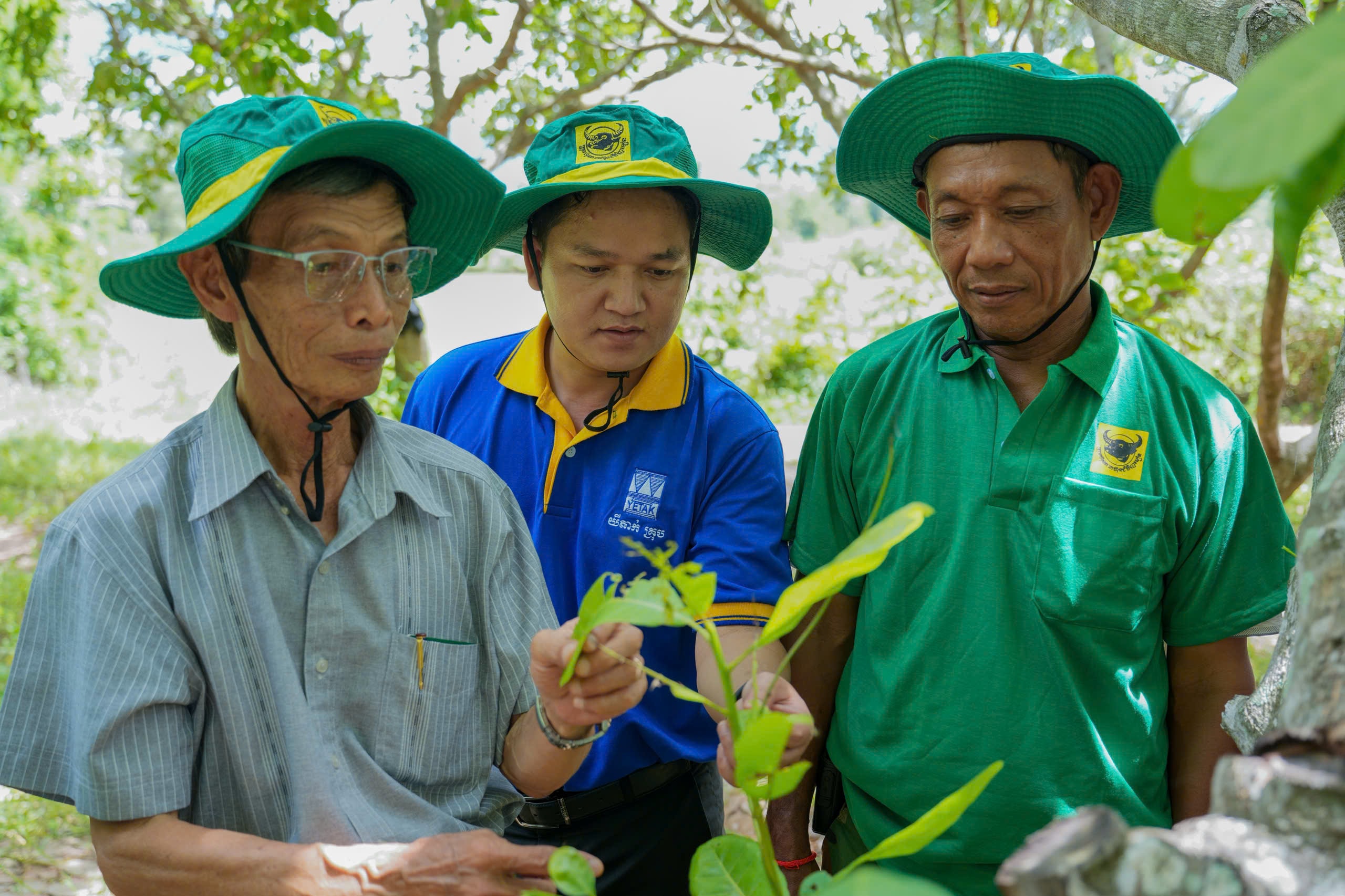 Đội ngũ chuyên gia Bình Điền cùng Yetak Group trực tiếp đến thăm vườn Ông Pech Naron — nông dân tại làng Tumnup Apivot, xã O Svay, huyện Trapeng Prasat, tỉnh Oddar Meanchey. Ảnh: Bình Điền
