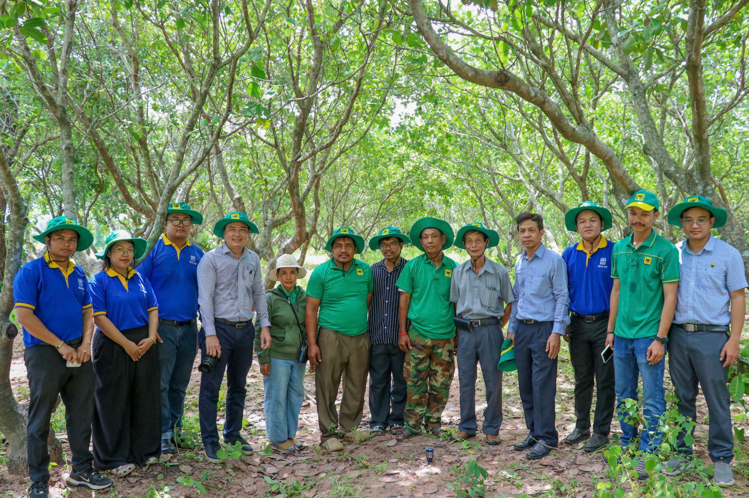 Chuyên gia hỗ trợ trực tiếp tại vườn Ông Pech Naron — nông dân tại làng Tumnup Apivot, xã O Svay, huyện Trapeng Prasat, tỉnh Oddar Meanchey]