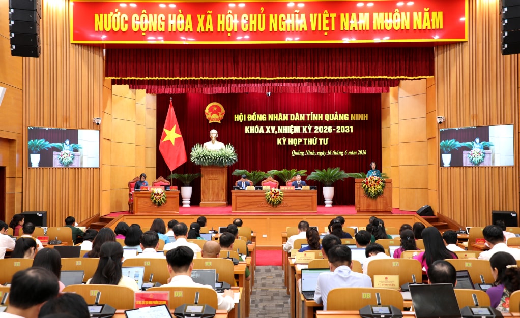 2519275_quang_canh_ky_hop_09293816.jpg