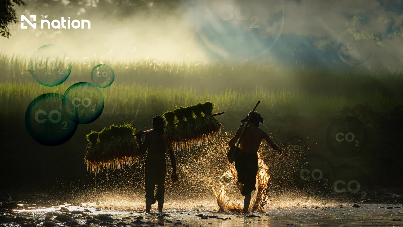 media.nationthailand.com-uploads-images-md-2026-06-_mxiz8jxveraoj4zy285y.webp