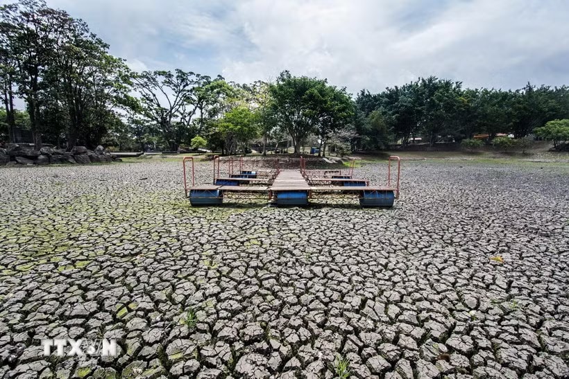 Forecast models show that El Niño may peak in Thailand between November 2026 and January 2027. (Illustrative photo: VNA)