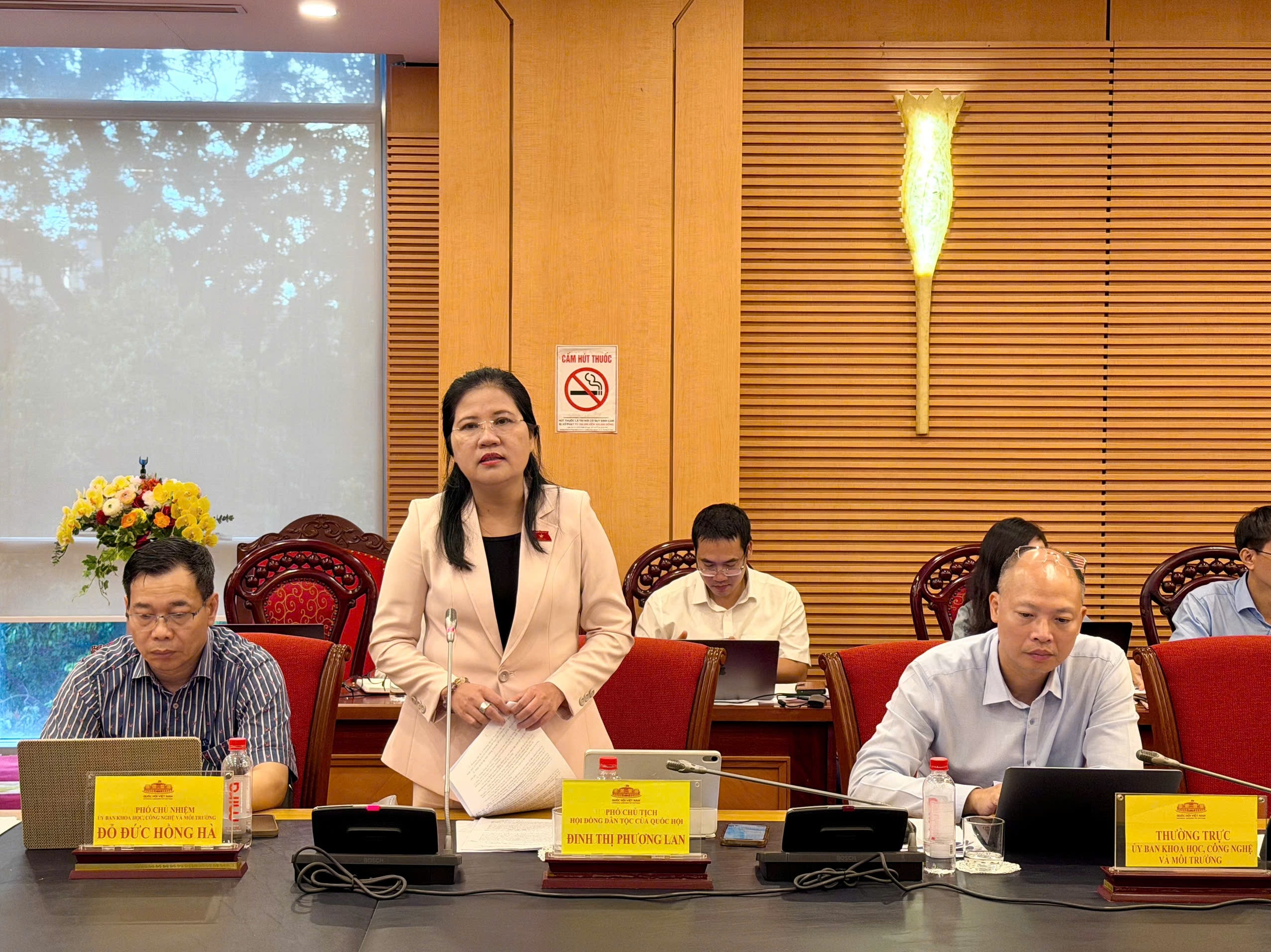 Phó Chủ tịch Hội đồng Dân tộc Đinh Thị Phương Lan