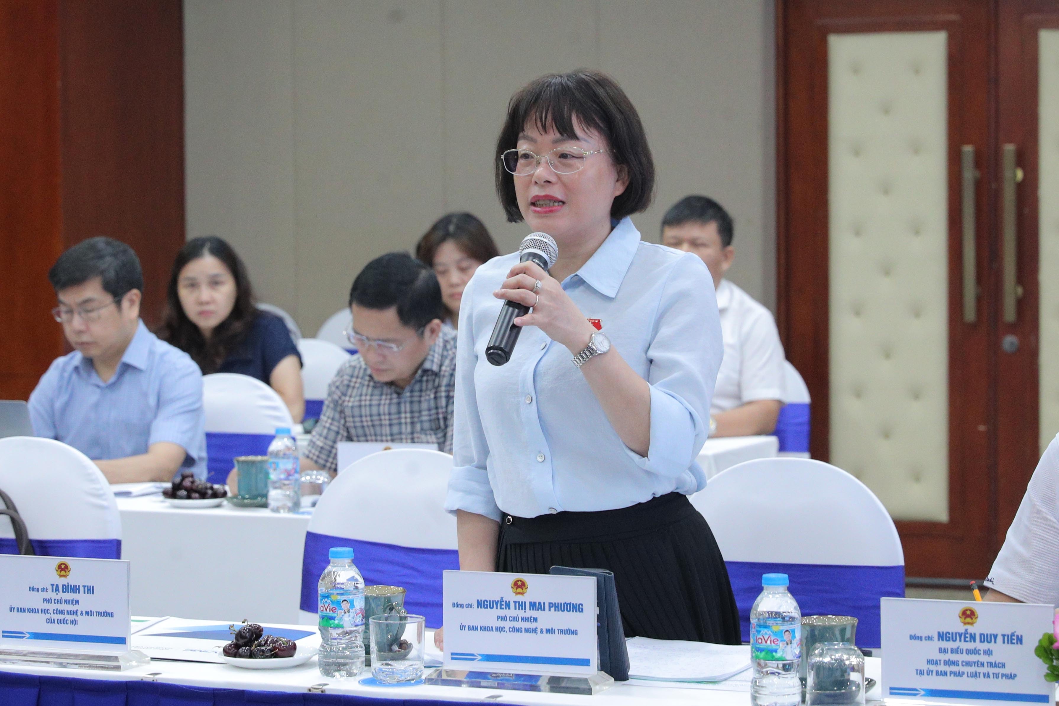 Phó Chủ nhiệm Ủy ban Khoa học, Công nghệ và Môi trường Nguyễn Thị Mai Phương