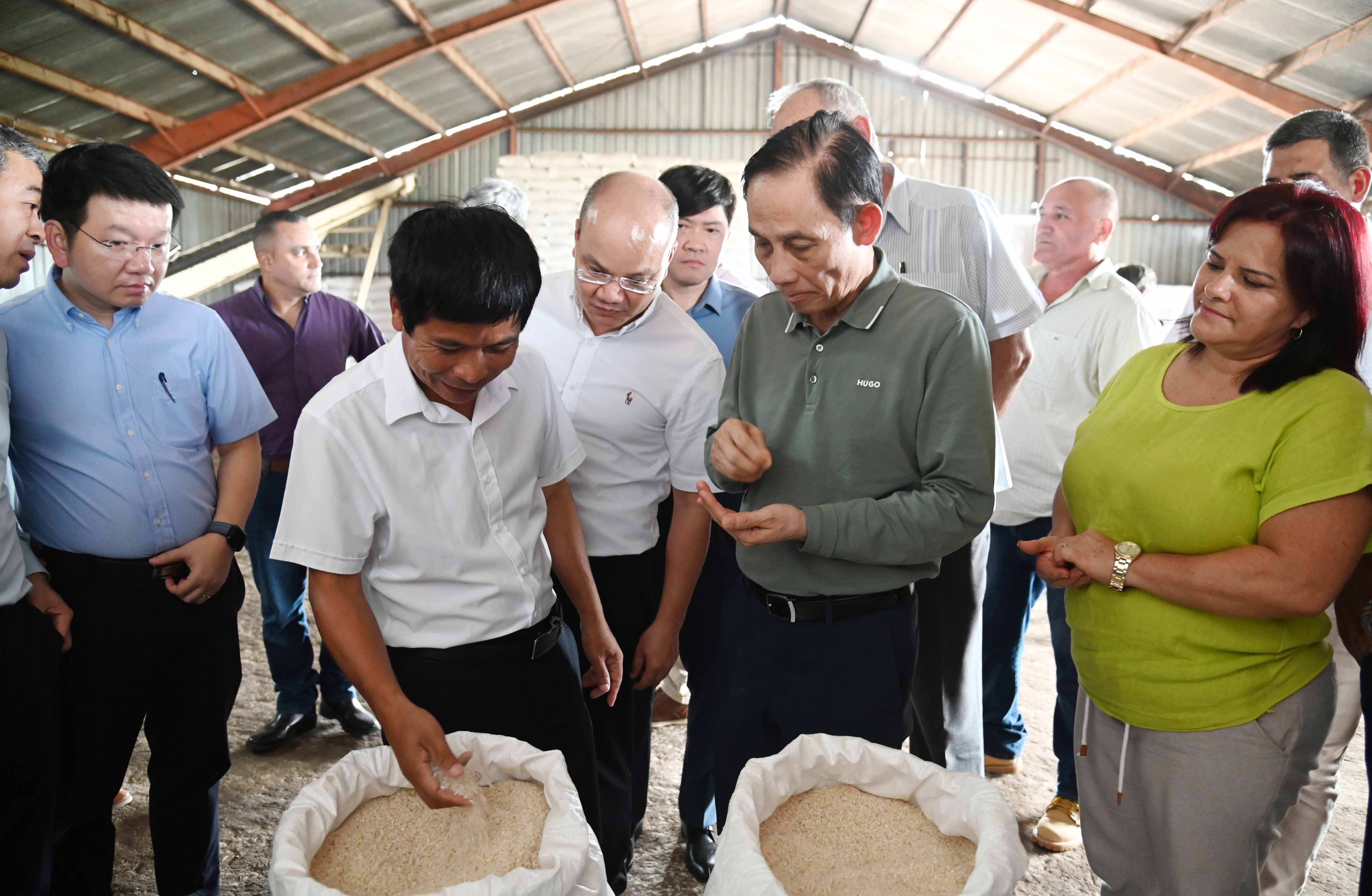 Cùng Bí thư thứ nhất tỉnh Pinar Del Río Yamilé Ramos Cordero kiểm tra chất lượng gạo