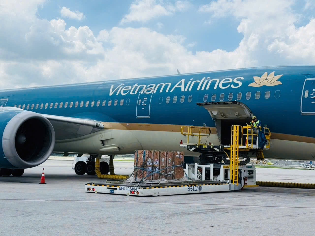 2. Vietnam Airlines đã bố trí tàu bay thân rộng Boeing 787 tạo điều kiện thuận lợi nhất cho việc vận chuyển các cá thể sếu trong suốt hành trình