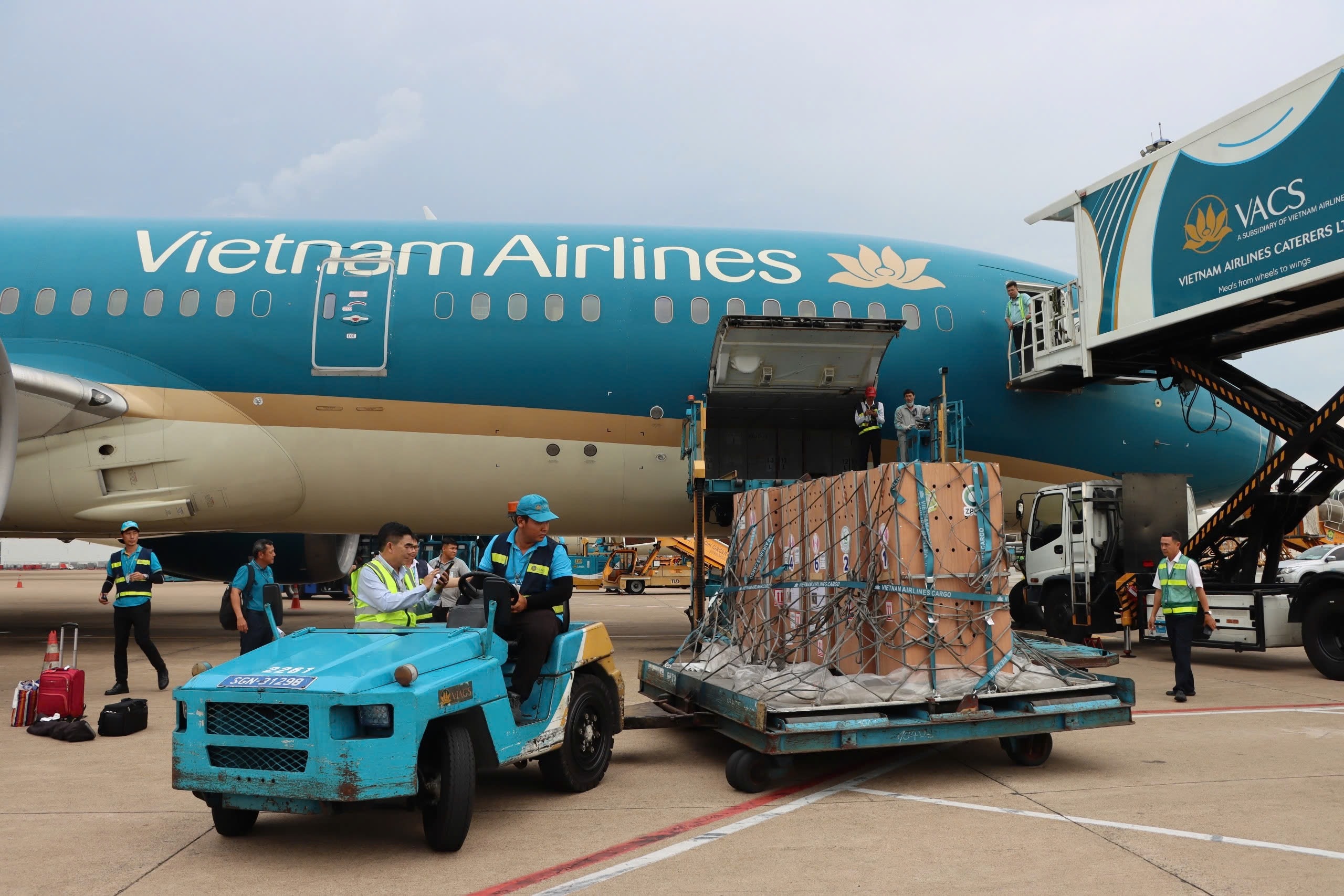 3. Các cá thể sếu được đưa về an toàn tại Sân bay Quốc tế Tân Sơn Nhất 