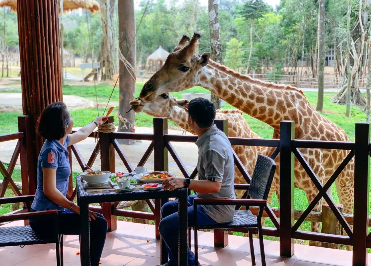 a4_Trải nghiệm ẩm thực giữa không gian thiên nhiên tại Vinpearl Safari Phú Quốc