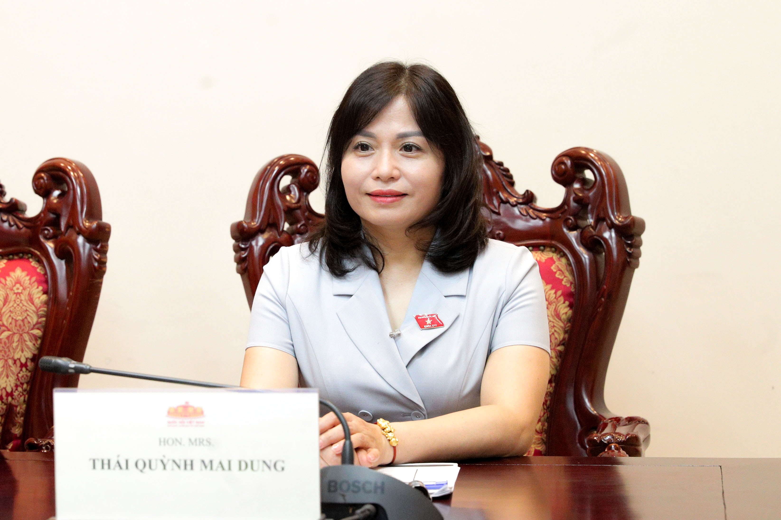 uy-vien-chuyen-trach-uy-ban-quoc-phong-an-ninh-va-doi-ngoai-thai-quynh-mai-dung(1).jpg