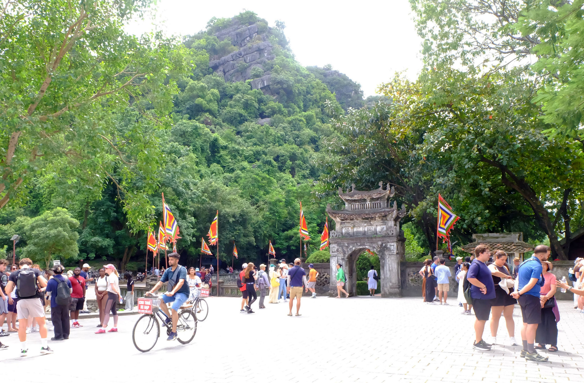 dscf2946.jpg
