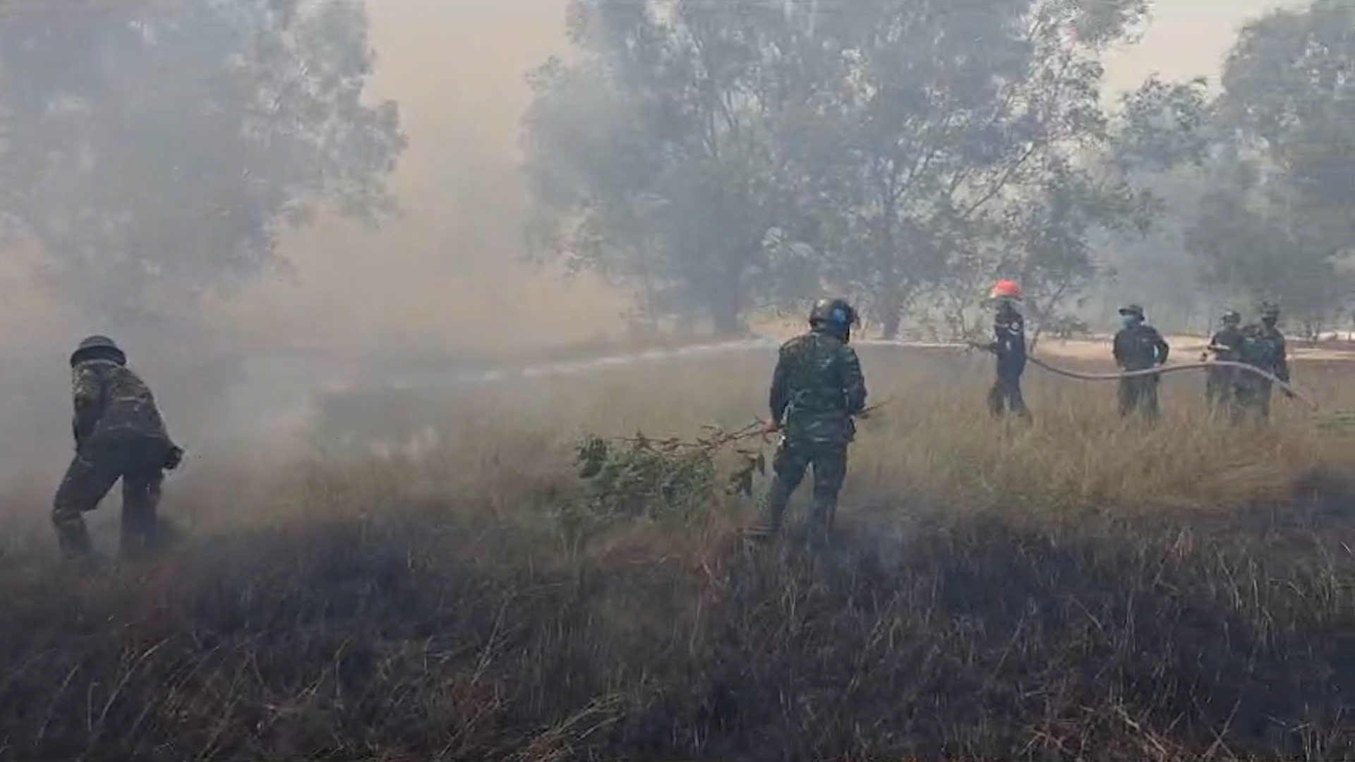 z7978591464342_70a3dc7d31eae9648a79e1508edb1962.jpg