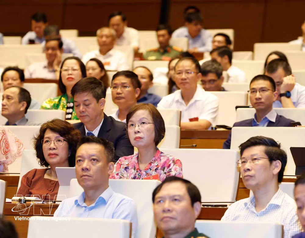 Delegates at the conference. (Photo:VNA) vnanet-b.jpg