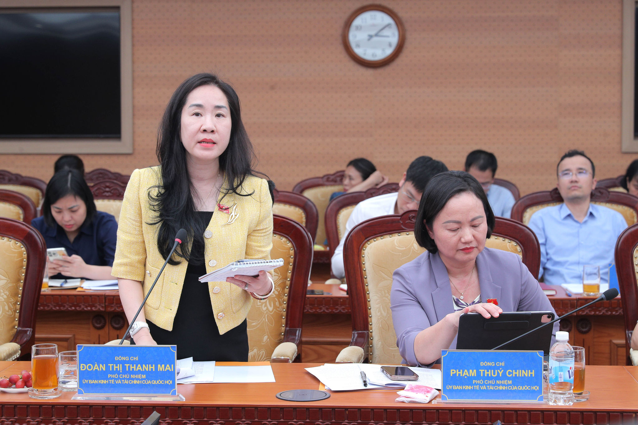 Phó Chủ nhiệm Ủy ban Kinh tế và Tài chính Đoàn Thị Thanh Mai