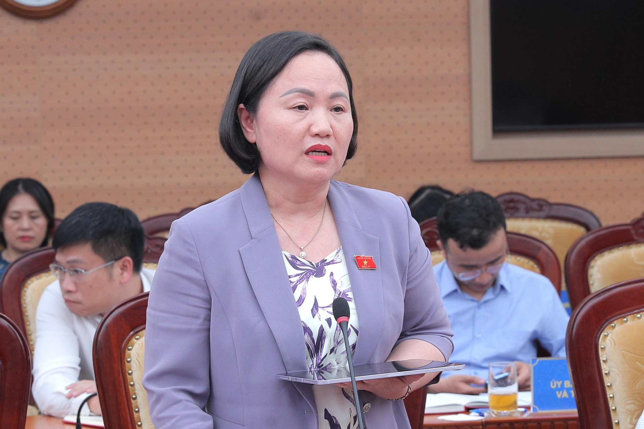 Phó Chủ nhiệm Ủy ban Kinh tế và Tài chính Phạm Thúy Chinh