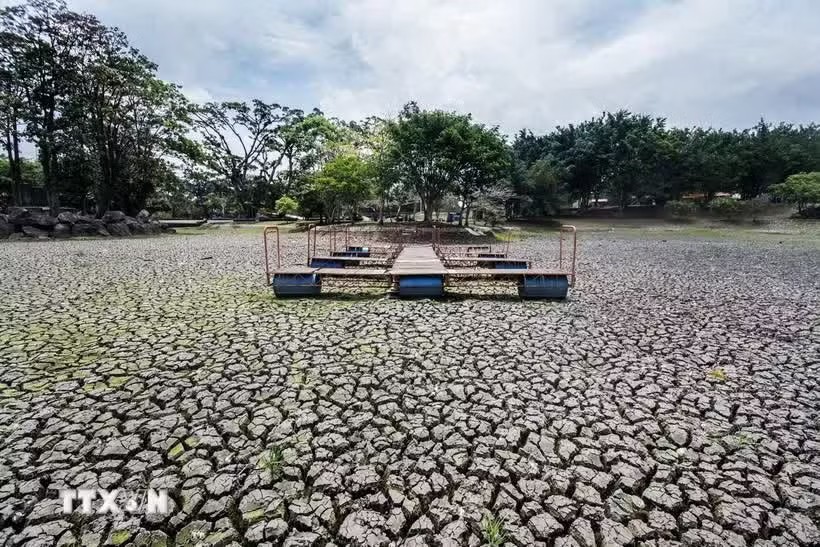 A super El Niño could bring higher temperatures and significantly reduce water storage in reservoirs. (Illustrative photo: VNA)