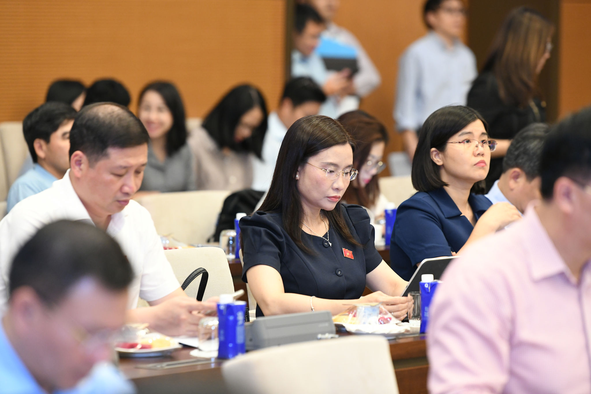 Các đại biểu tham dự cuộc làm việc.9