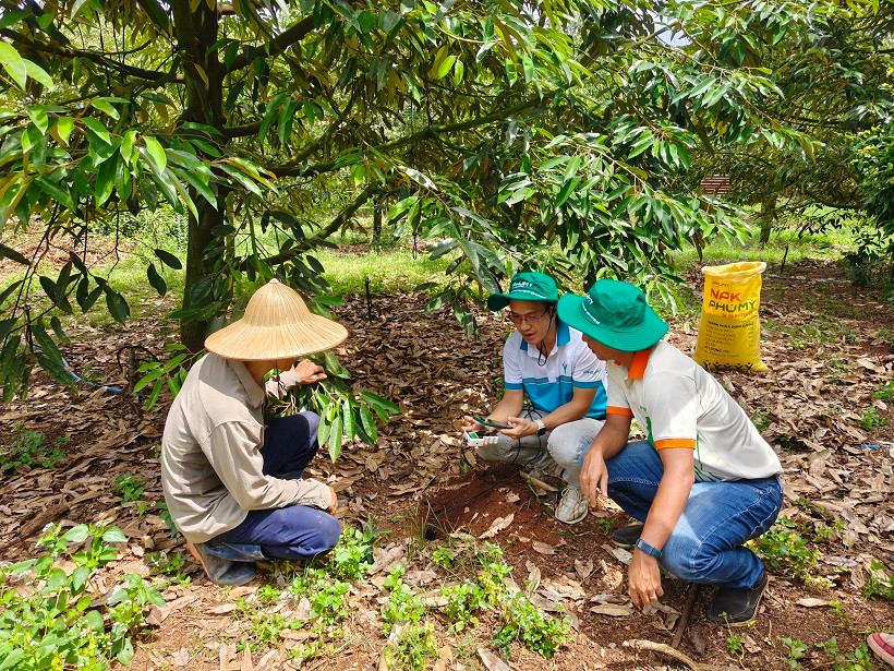 Các sản phẩm phân bón Phú Mỹ luôn được bà con nông dân tin tưởng sử dụng
