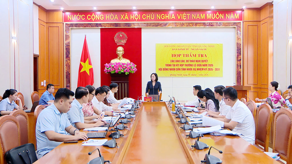 2524844_dong_chi_vu_ngoc_ha_truong_ban_kinh_te_ngan_sach_hdnd_tinh_phat_bieu_tai_cuoc_hop_16265201.jpg