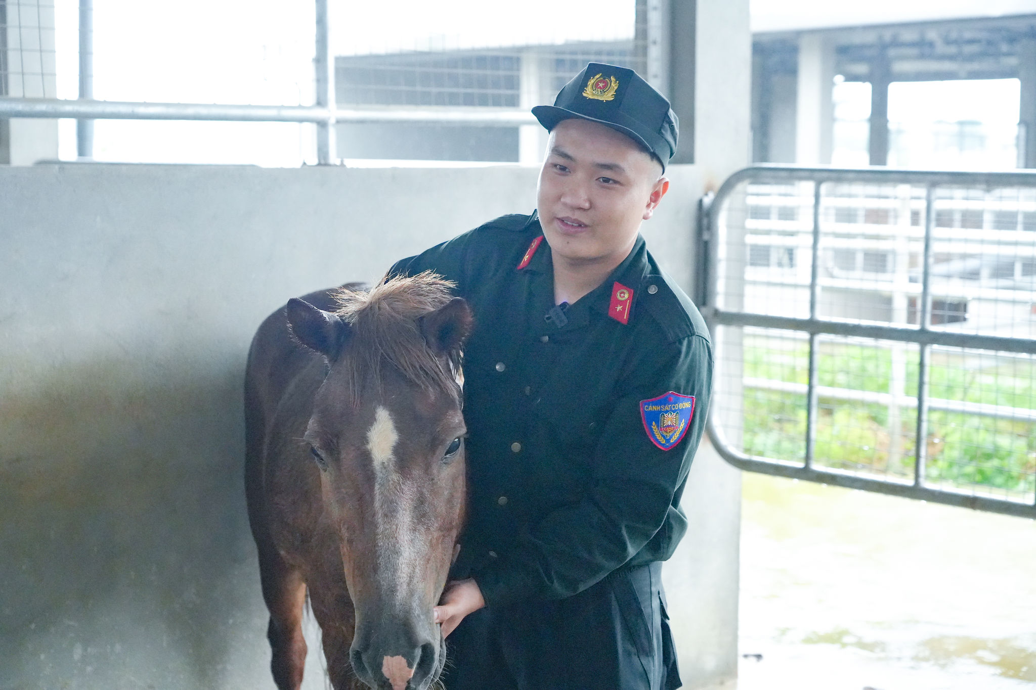 Tặng ngựa 3 (2)