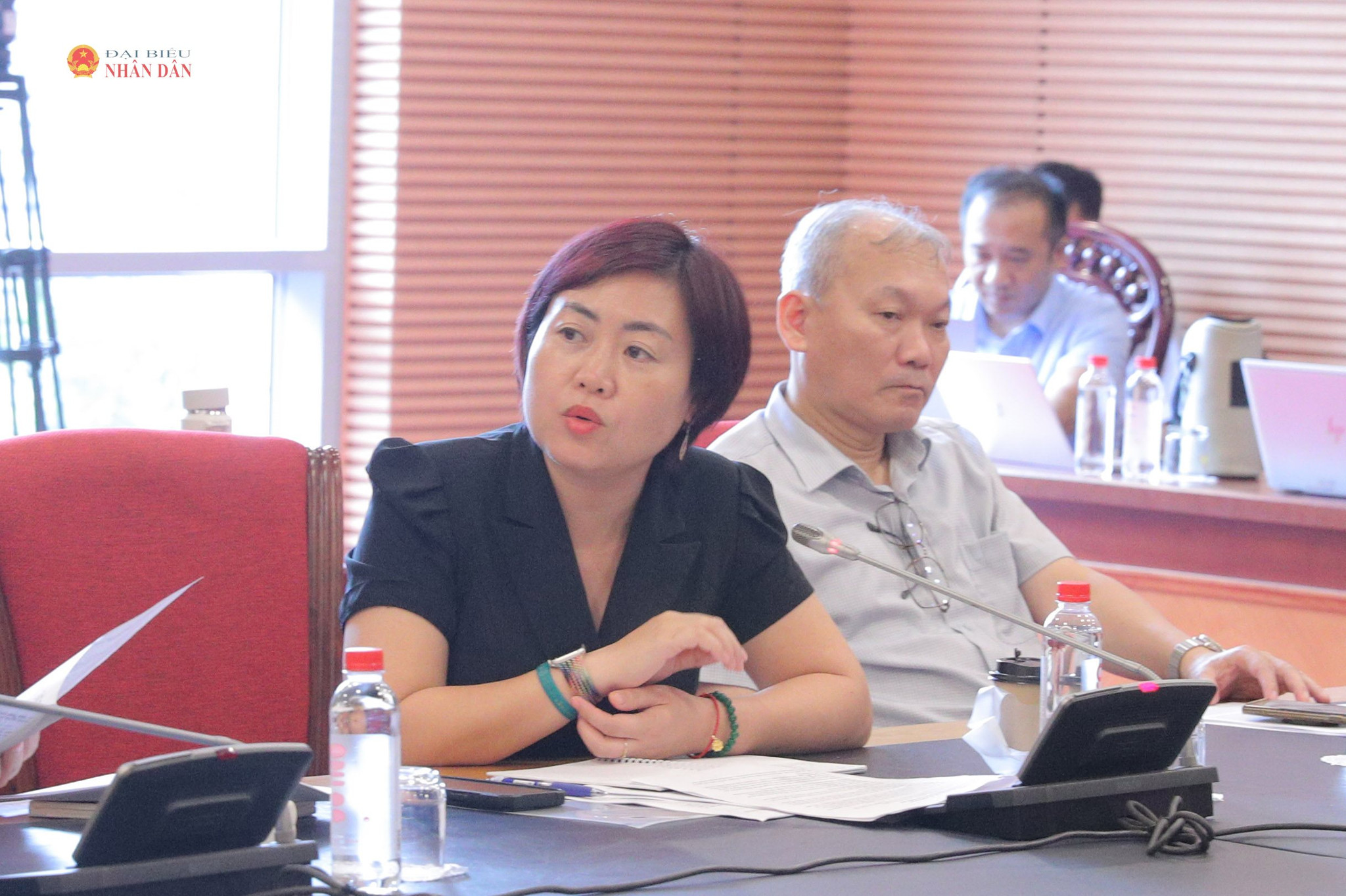 Đại diện Hội đồng Kinh doanh Hoa Kỳ - ASEAN (US-ASEAN Business Council - USABC)