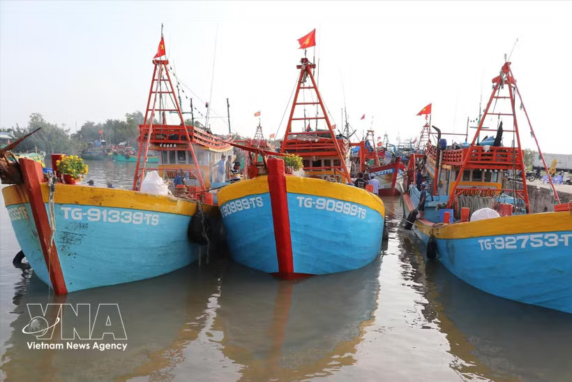 Fishing vessels of Dong Thap province (Photo: VNA)