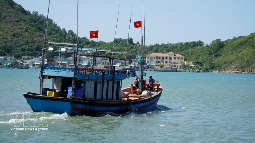 Since the beginning of 2025, Gia Lai's coastal border guard units have coordinated with relevant agencies to maintain 546 safe fishing teams comprising 2,267 vessels and 9,602 fishermen. (Illustrativephoto: VNA) 