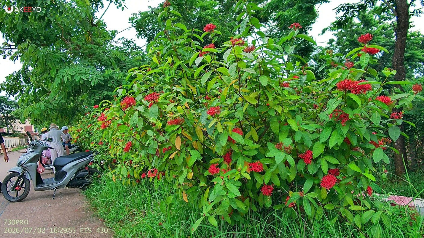 picture4.jpg