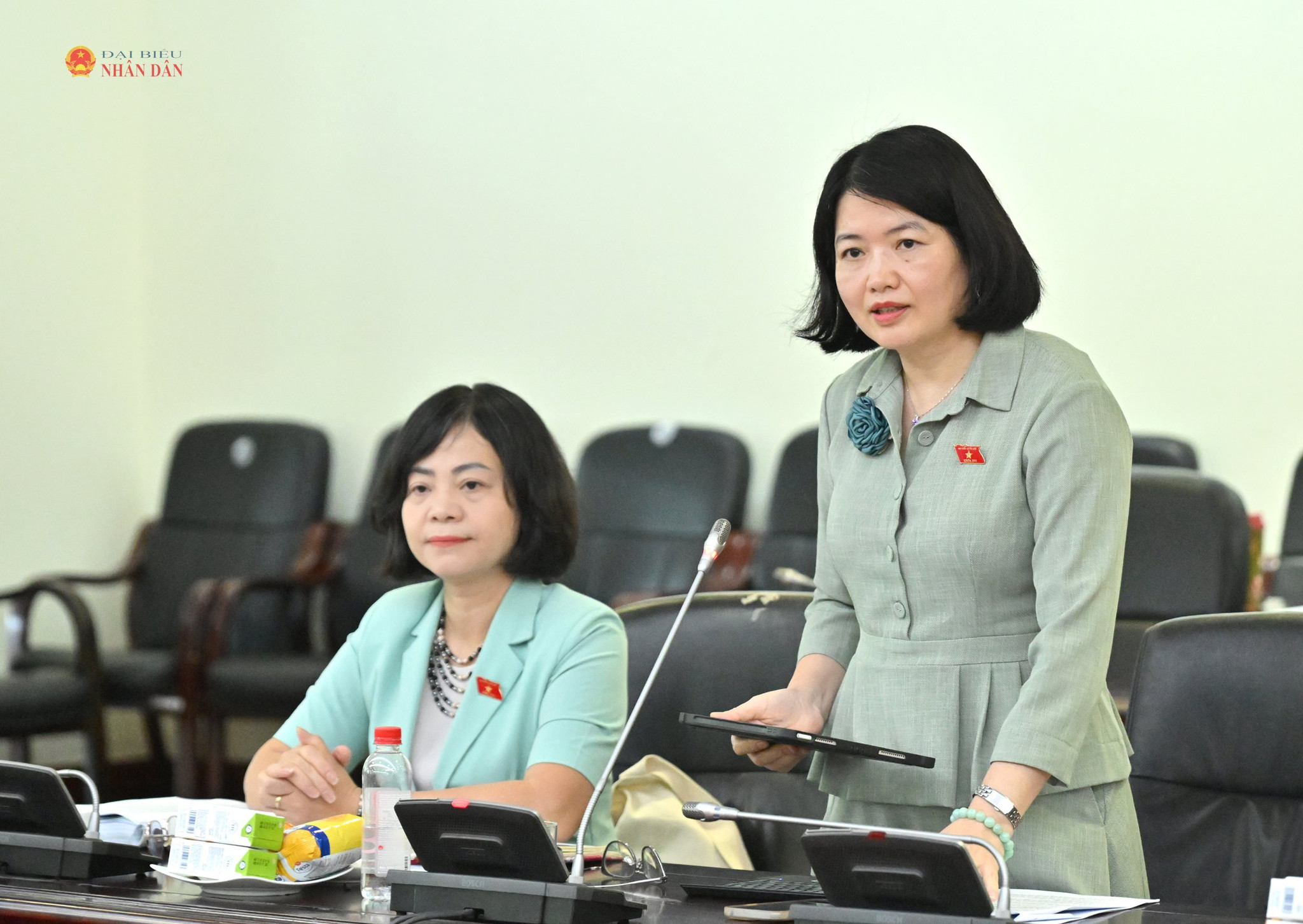 Ủy viên là ĐBQH hoạt động chuyên trách tại Ủy ban Văn hóa và Xã hội Nguyễn Thị Mai Thoa