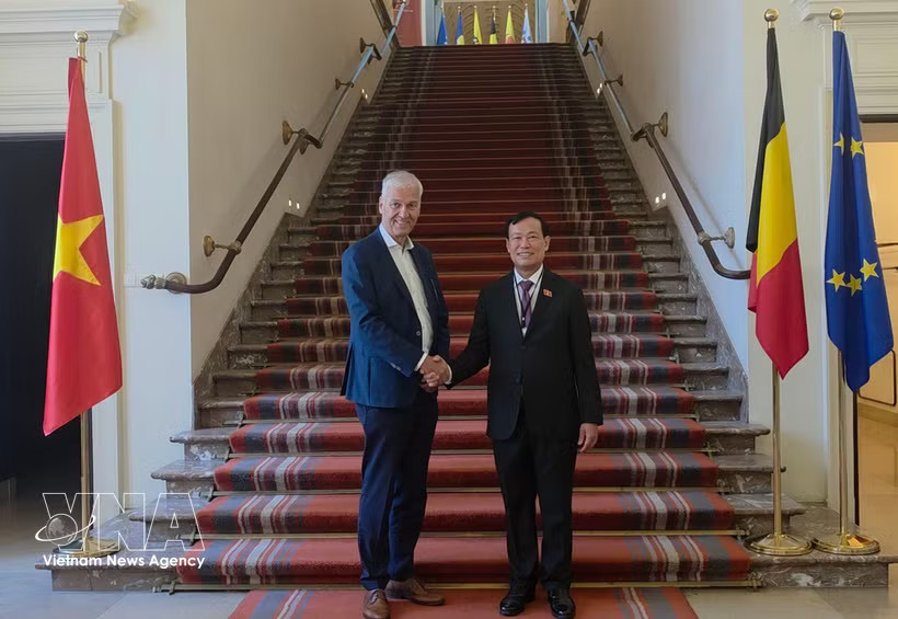 Chairman of the National Assembly's Committee for National Defence, Security and Foreign Affairs Senior Lieutenant General Le Tan Toi (right) meets with First Vice President of the Belgian Senate Andries Gryffroy. (Photo: VNA)