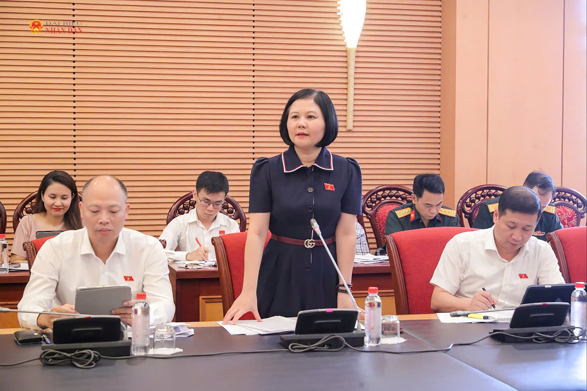 DBQH hoạt động Chuyên trách tại Ủy ban Quốc phòng, An ninh và Đối ngoại Trần Thị Hồng An