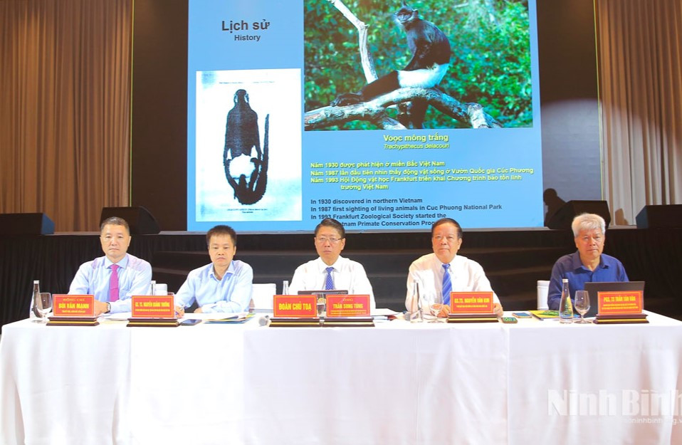 Ninh Binh