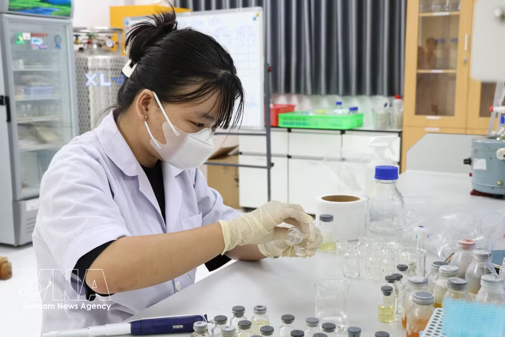 vnanet-anh-minh-hoa-vna.jpg