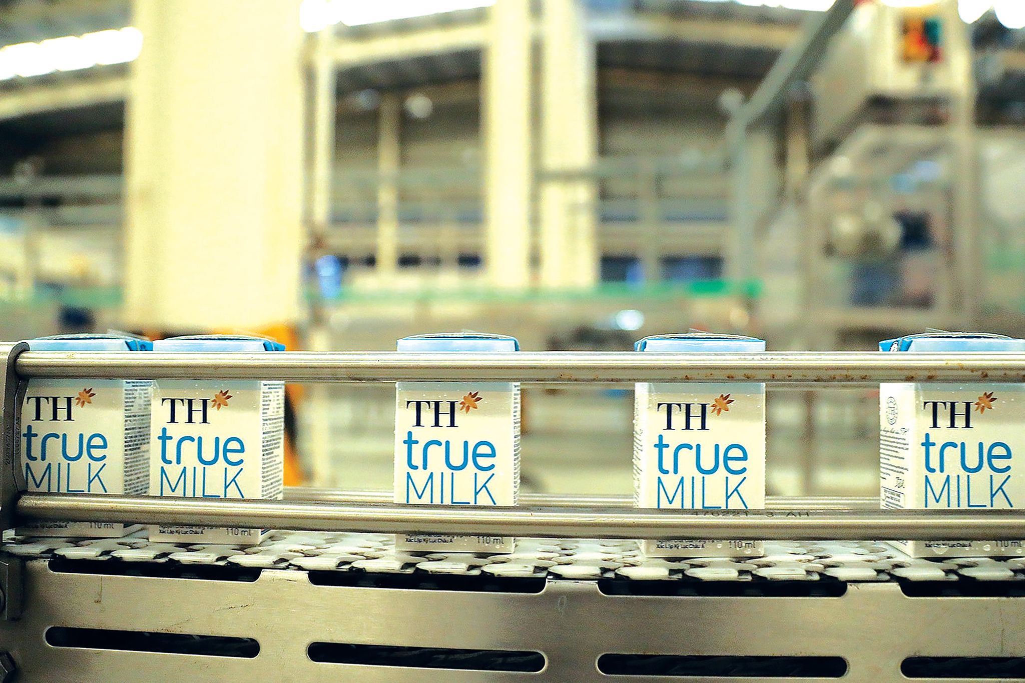 s2.jpg