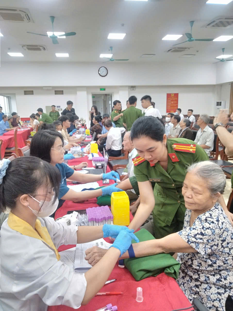 trang.jpg